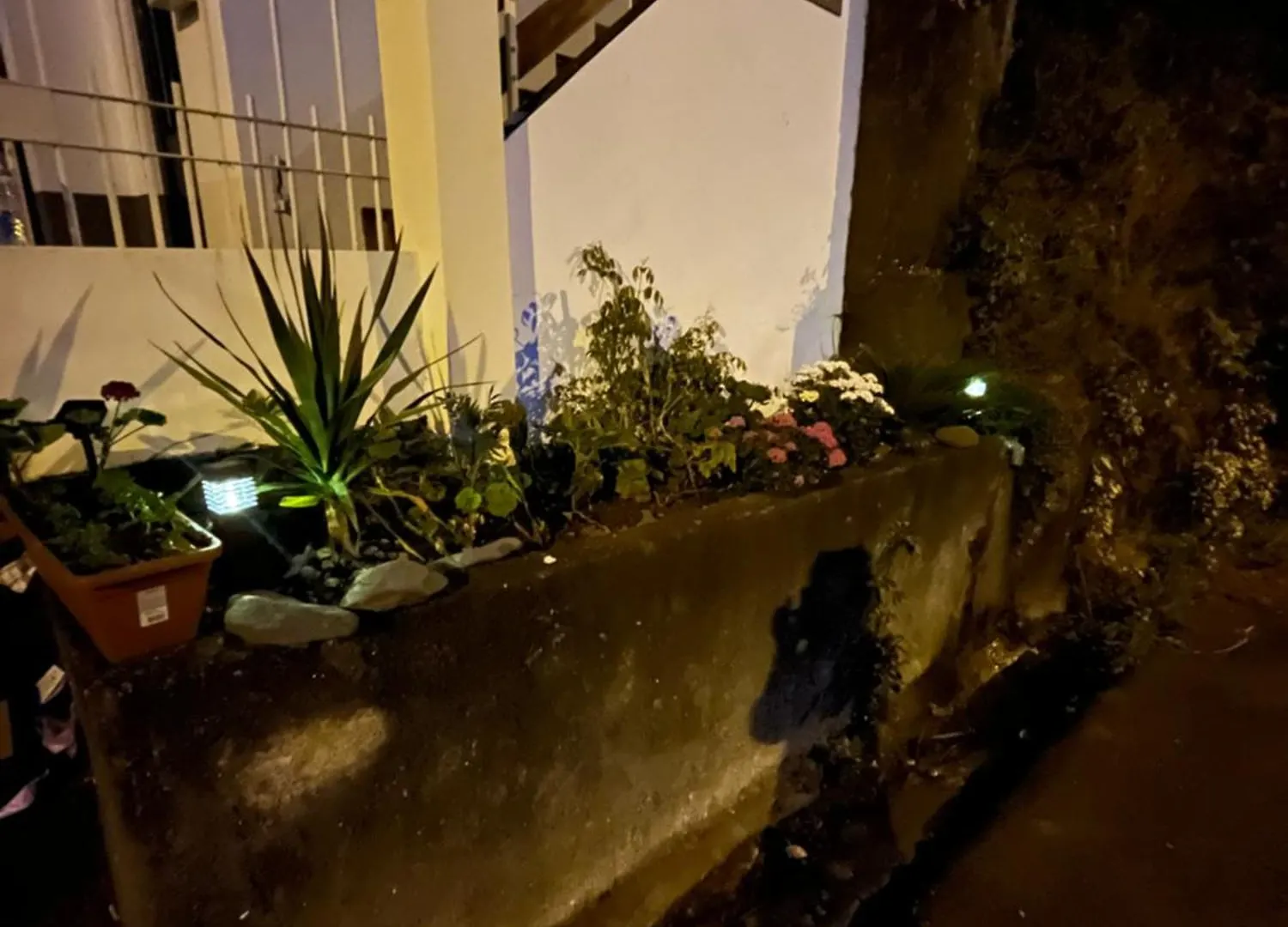 Revived Apartment Porto Da Cruz